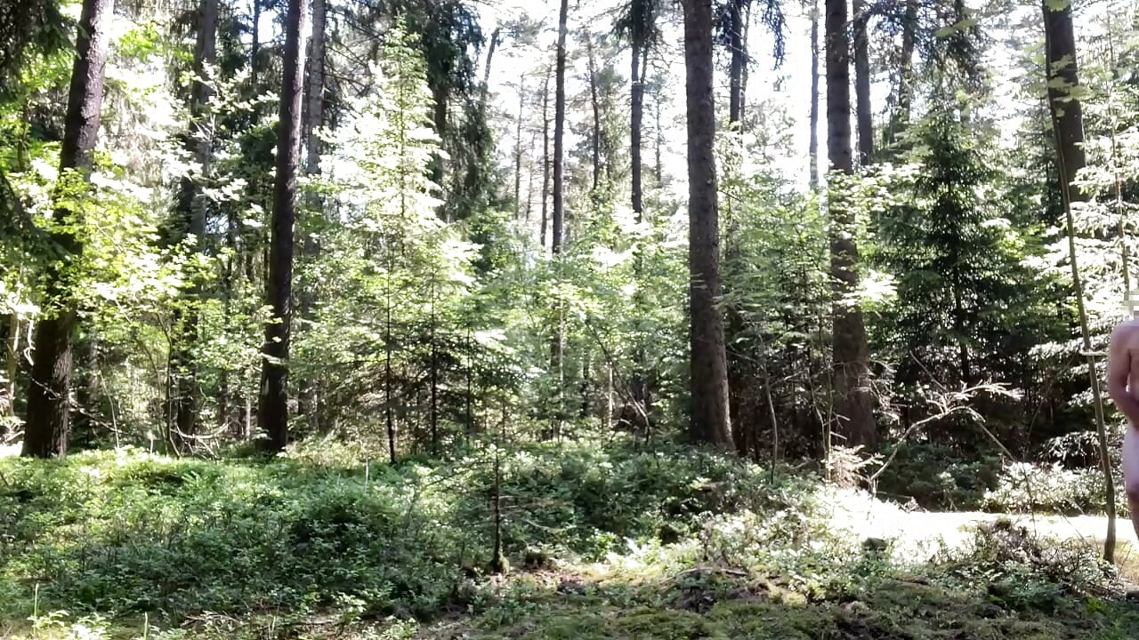Naked wanking in the forest