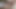 Geile Swinger Angel und Lina teilen sich einen steifen Schwanz