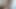 Shemale Webcam Cumshot 08222020