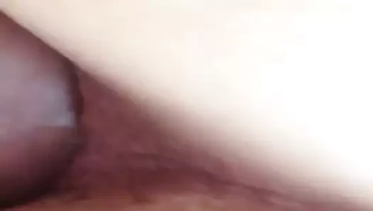 Köpek sikme ile arkadaş