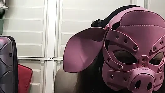 Fuckpig Humiliates it's stupid self