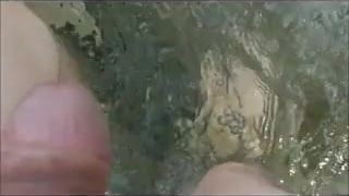 Wixen unter Wasser