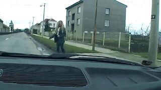 German bitch hunter