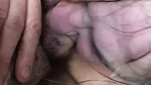 Troia usata