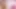 Hot Pink Bikini & Pink Condom Cumshot