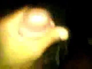 コウノトリpt 2
