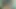 kıllı olgun çevreleyecek