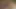 Bayi Jepang dalam seksi seksi