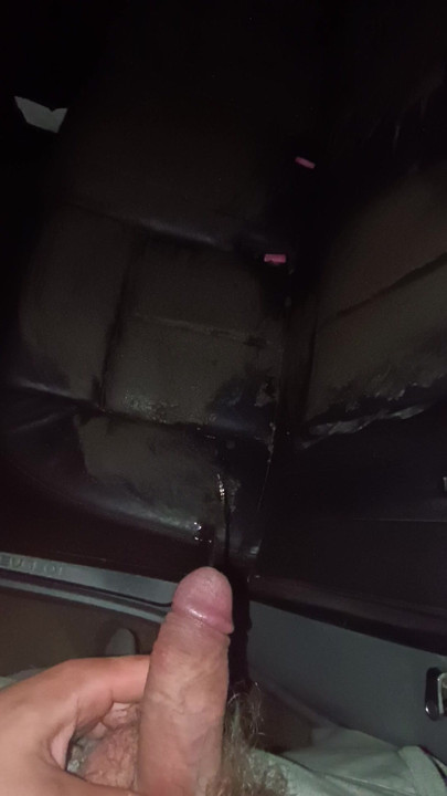 my lovely pissing on muddy car seats