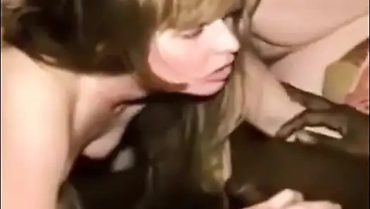 Cuckold Archive - koleksi video video cuckold terbesar