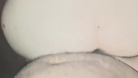 of a puppy