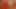 Neighbour wants to use a fleshlite on me to cum