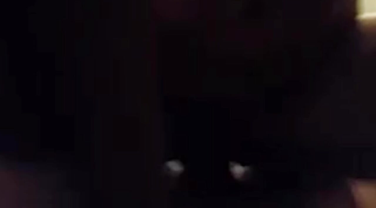 Brzi za početak dana