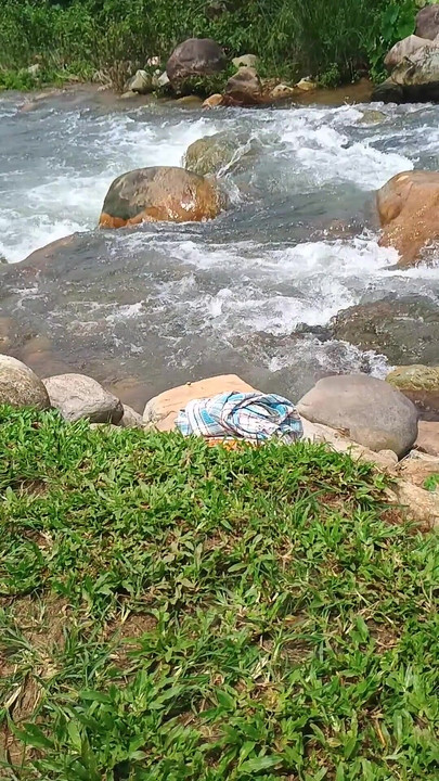 Jaw-dropping moment from "Jungal pe Nadi main sex"