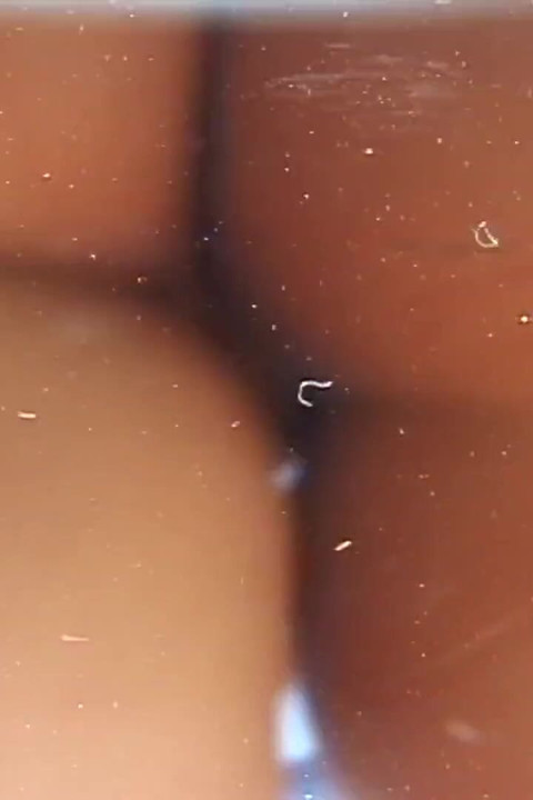Peeing on  baordwalk