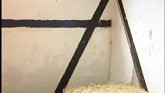 Mature and her girl licking pussy