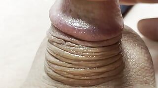 Shaved micro cock playing