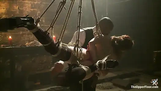 Die ausschweifenden zwillinge