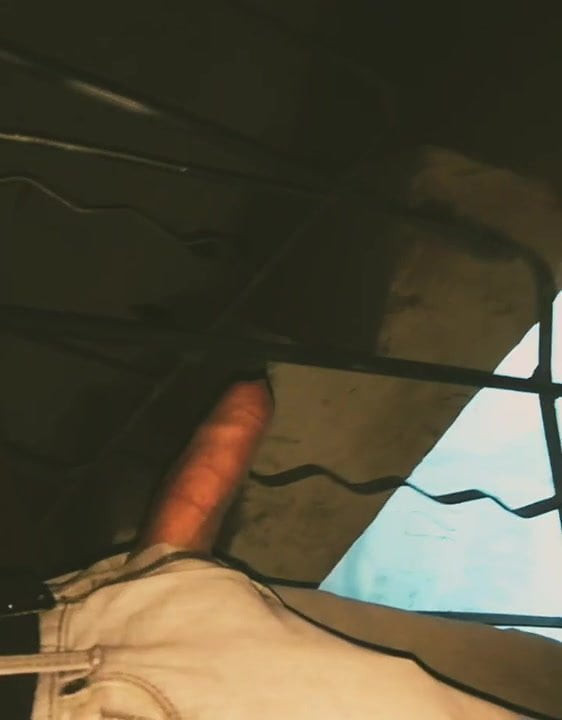 Flashing my cock