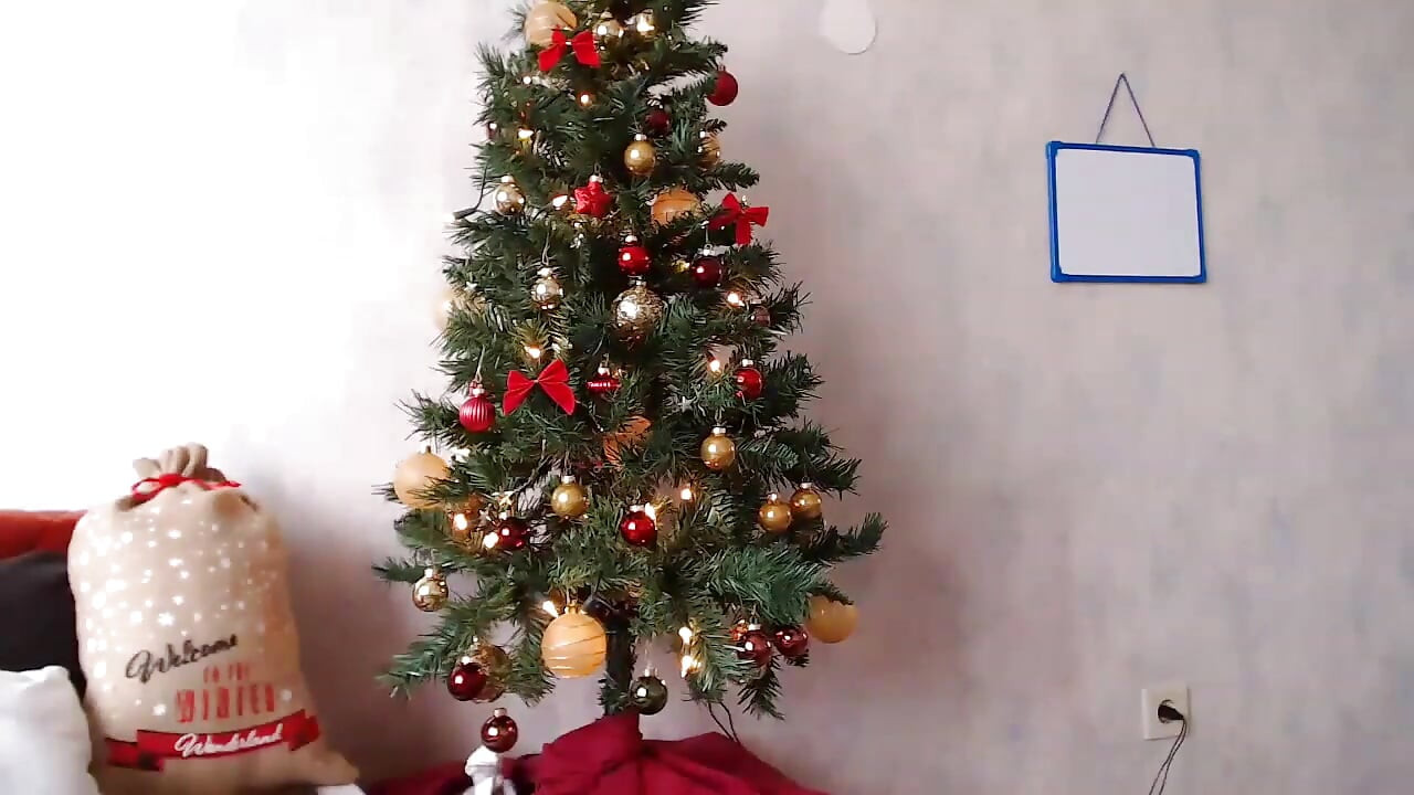Decorating the Christmas Tree Live