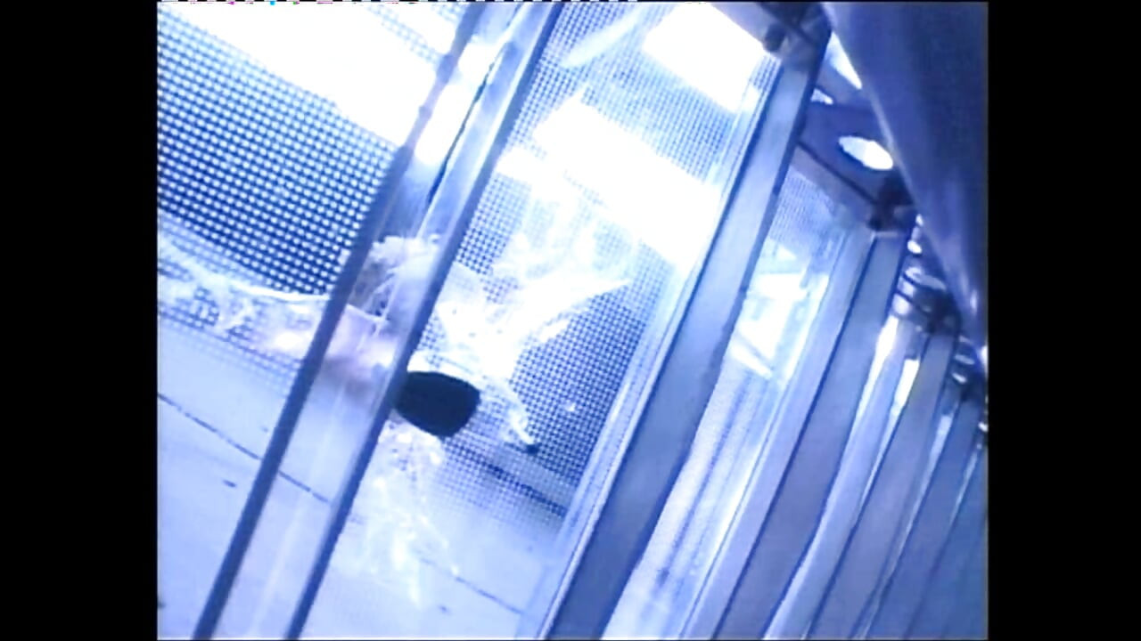 Αυνανίζω όλο μου το σώμα