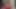 Tgirls porn - şehvetli bir şeye dönüşen bir akşam yemeği