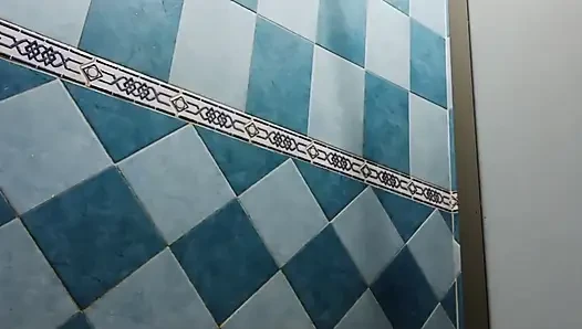Zusammenstellung von mexikanischer molliger Karmica in der Dusche