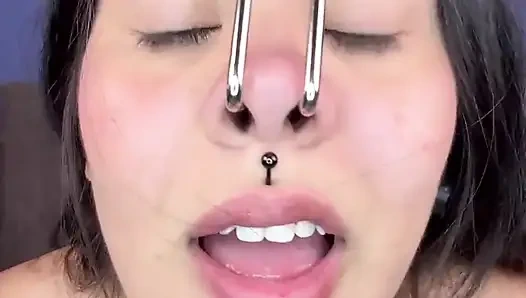 Turned in to Piggy