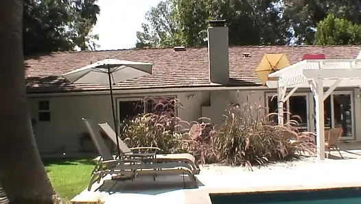 The Fox Eats It All (part 2)