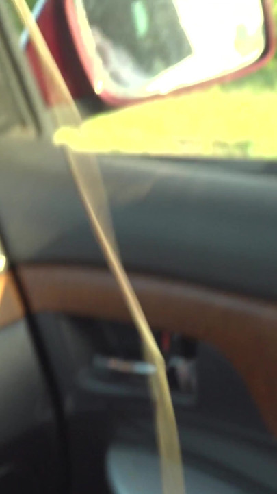 Mistress with a huge dick milks your virgin mouth | Clip 1