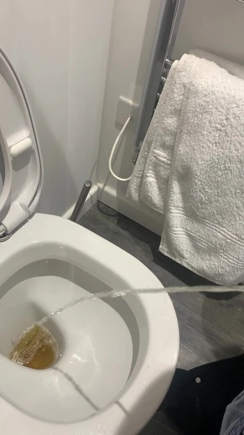 Pissing on holiday two