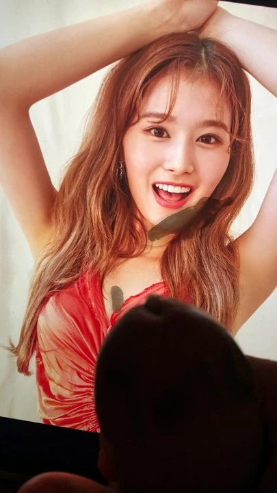 TWICE SANA CUM TRIBUTE