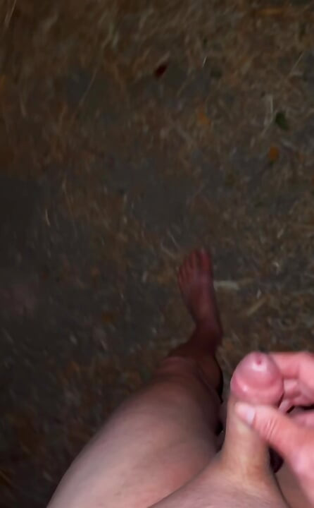 Naked wanking and showing off in woods with passing cars