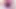 Pink Barbie Doll Plays with Titties and Dick