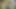 Indian Porn
