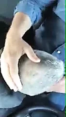 Old guy sucks and swallows young dude in car