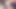 The Best Moments of 2019 4 - Samantha Flair