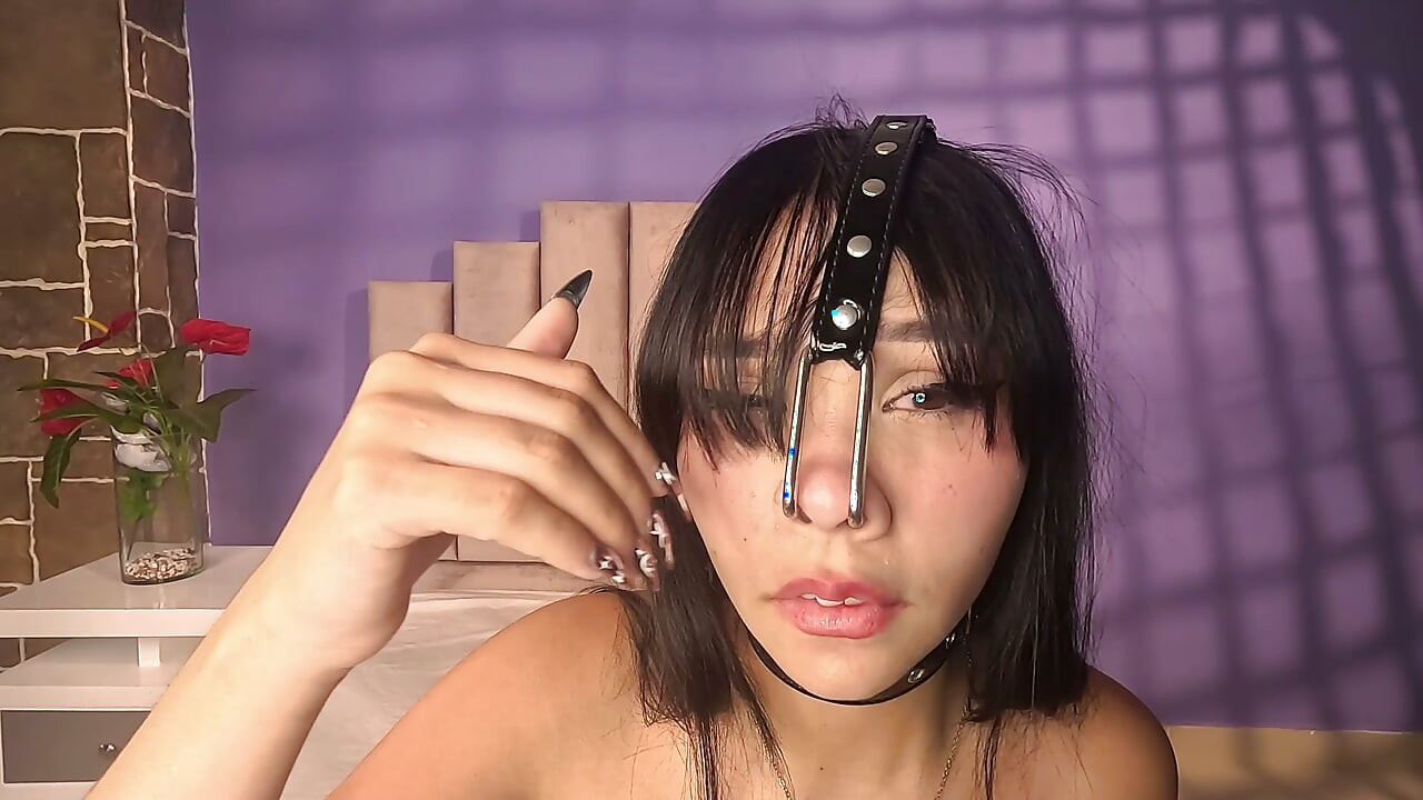ハーネスドピッグプレイ