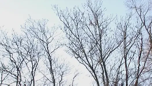 Smutty kızlar davetkar bir grup sekste sert sikiliyor