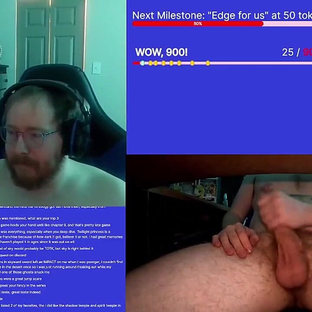 ビデオのプレビュー