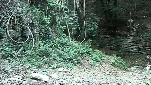 Frecher teenager wird von einem reifen führer im wald gefickt