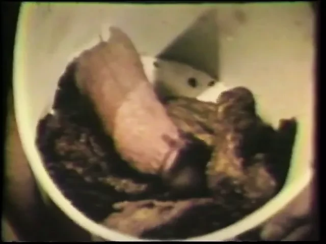 Horny bottom takes a punishing up his ass in a gay orgy