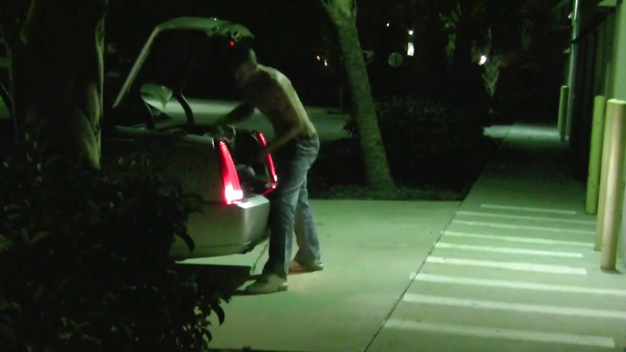 奴隶伴侣 - 第2章