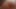 Tall women and tiny girl height comparison