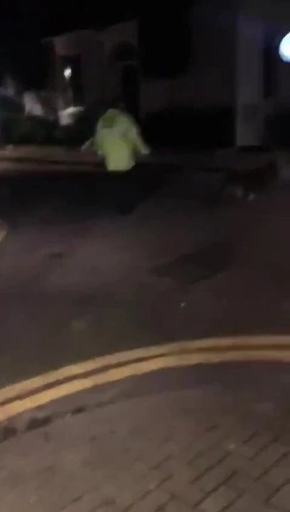 Fuera de bj