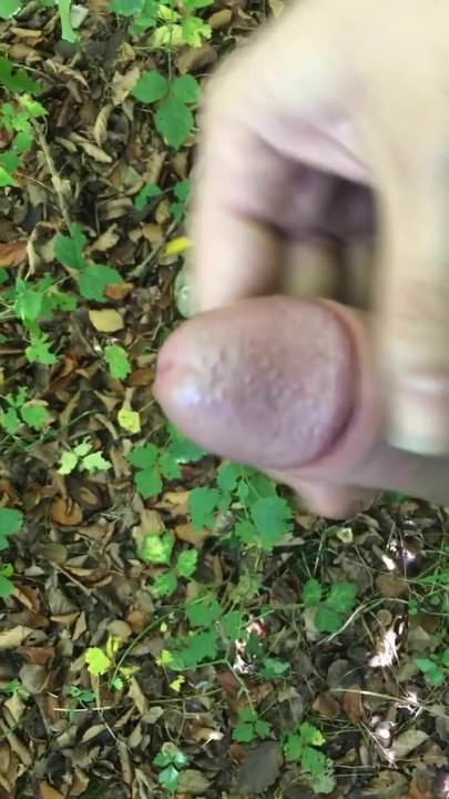 outdoor wixen