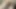 solo masturbating cumshot