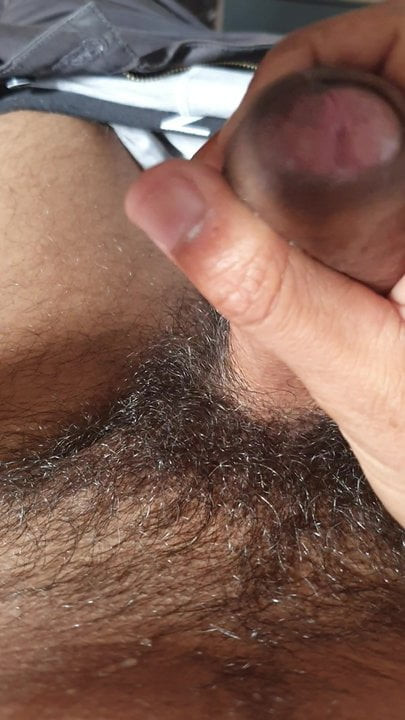 tribute