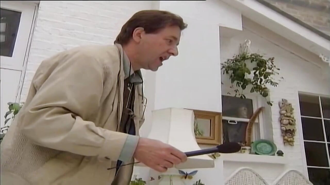 Busty British Vintage Anal