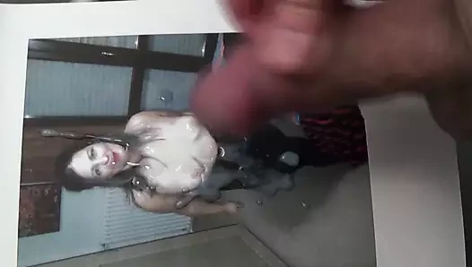 Stefanon'a saygı duruşu